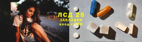 прущие грибы Абаза