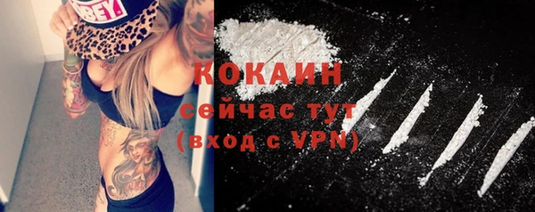 прущие грибы Абаза
