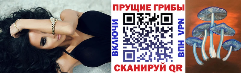 Галлюциногенные грибы Magic Shrooms  купить наркотик  Майский 